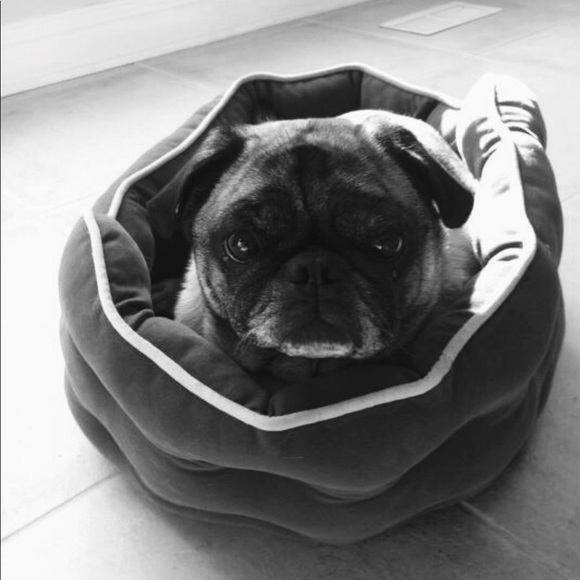 Meet your Posher, Mariann - Picture 3 of 3